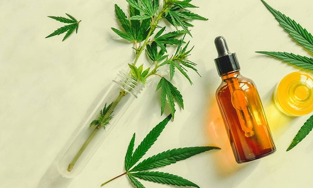 Canabidiol (CBD): o que é, para que serve e onde comprar? Canabidiol (CBD): o que é, para que serve e onde comprar?
